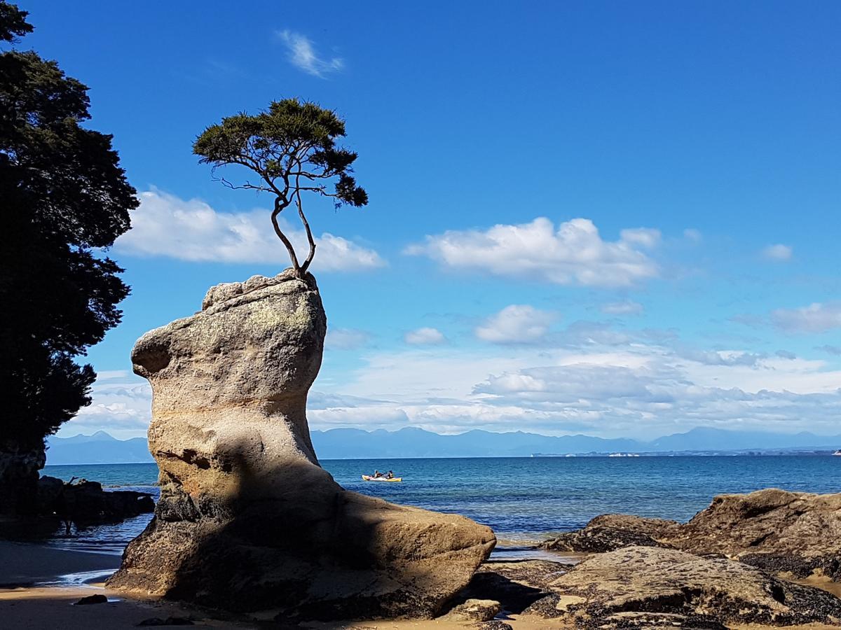 Abel Tasman Sands Bnb Riwaka Exterior foto